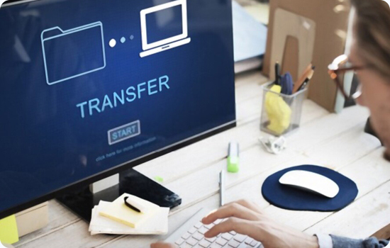Transfer Your domain name